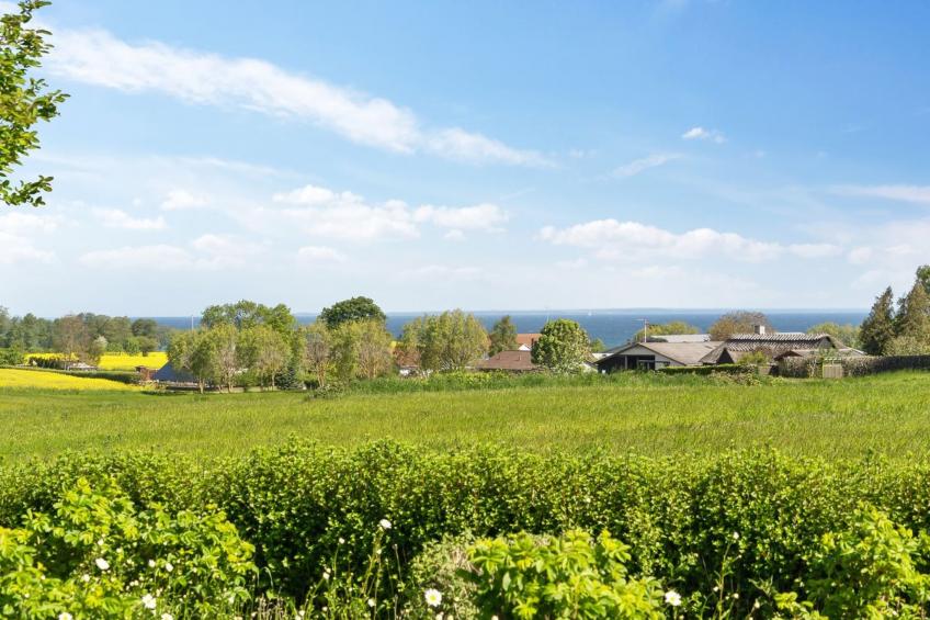 "Alma" - 400m from the sea in SE Jutland - foto 3