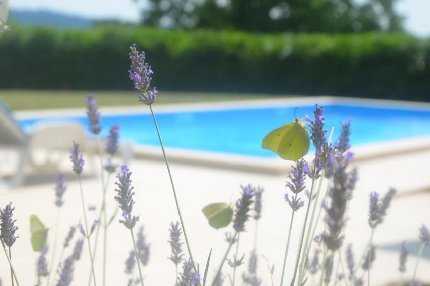 Landgut "Fragola" mit Blick auf die Berge - foto 8