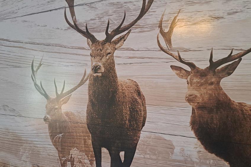 Appartement 2 - foto 46