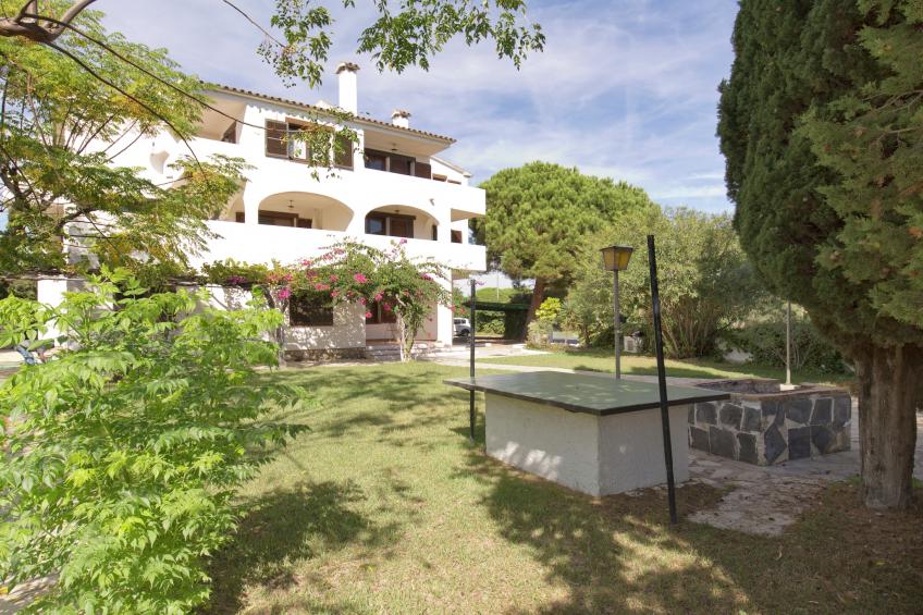 Nobi's Los Pinos - foto 4