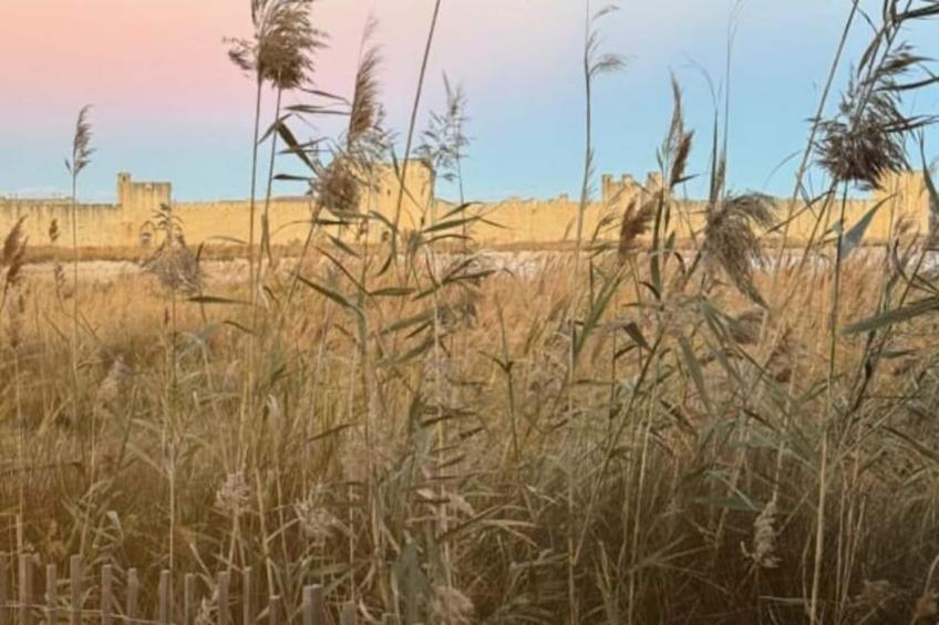 Résidence La Perle Rose Villa Standing 5 étoiles Avec Piscine Jacuzzi Et Superbe Vue - foto 29