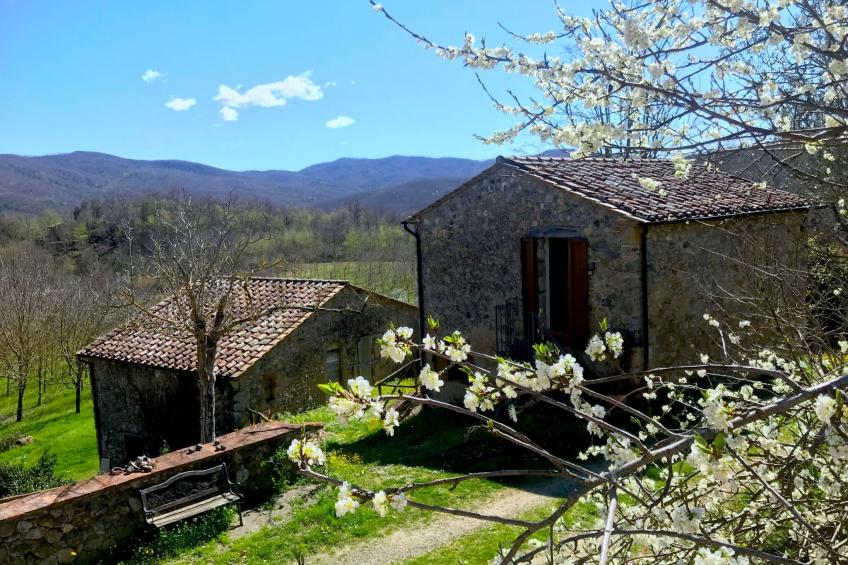 Ruhiges Ferienhaus mit Garten und Panoramablick - foto 2