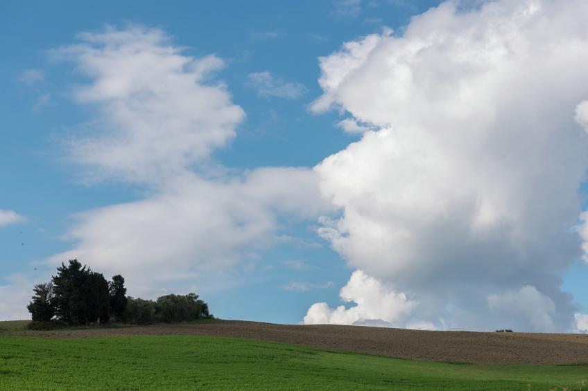 Mulinomanzi - foto 20