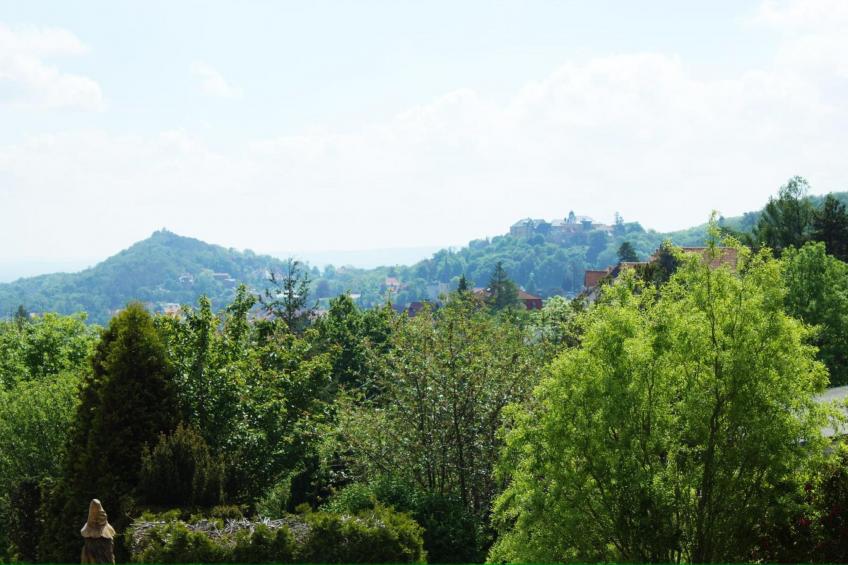 Meineckes Harzidyll Am Eichenberg II - foto 27