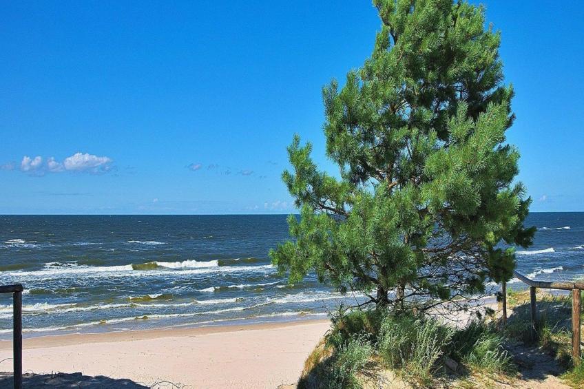 Aurora Domki Przewloka - foto 39