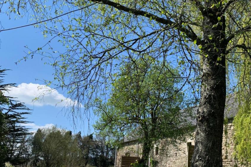 Gite - typisch bretonisches Bauernhaus mit Pool - foto 14