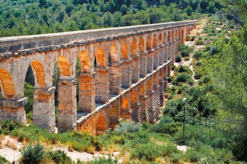 Els Cups, casa rural - foto 46