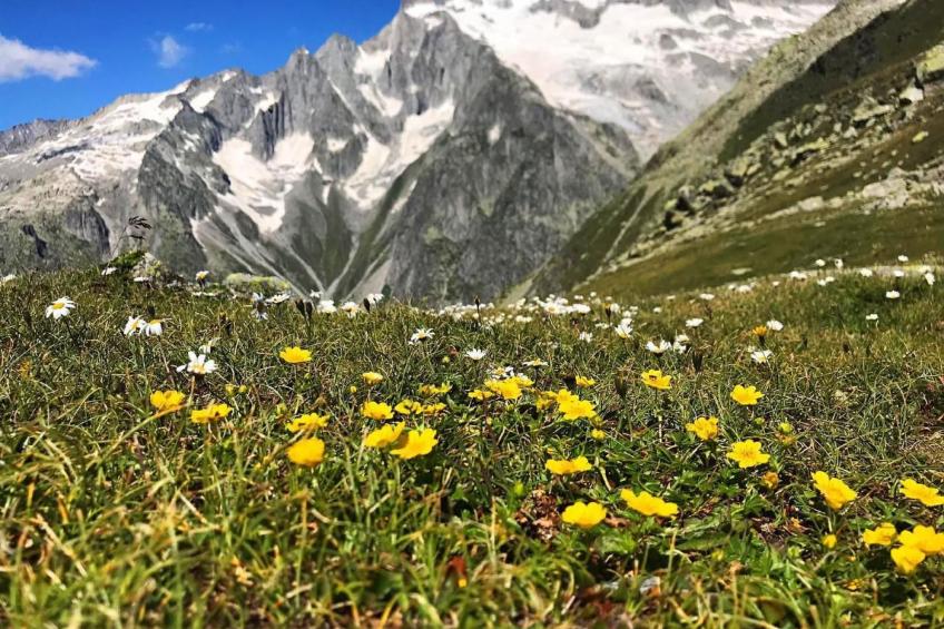 Spycher Niederwald - foto 12