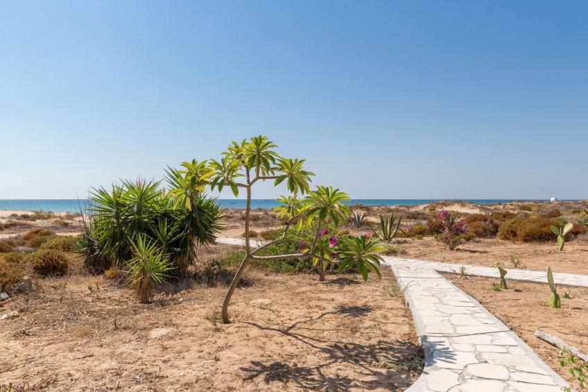 Amarillis, Wohnung am Strand - foto 3