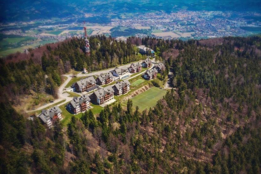 Forest Apartments Videc - Pohorje Bilo 7 - foto 17