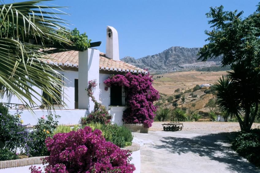 Finca Lomas de Tienda - foto 32