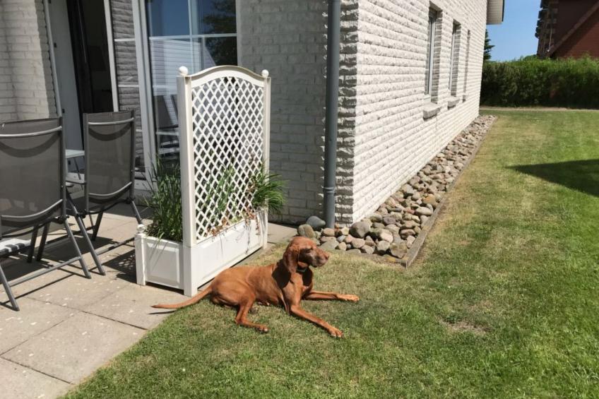 'Heile Welt' bei Maasholm - foto 16