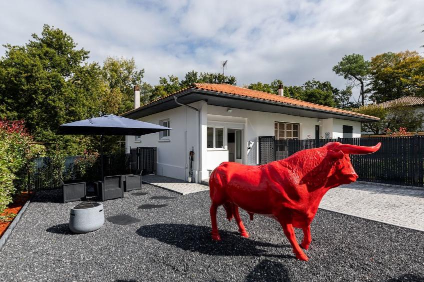 Zwischen Meer und Land - foto 23