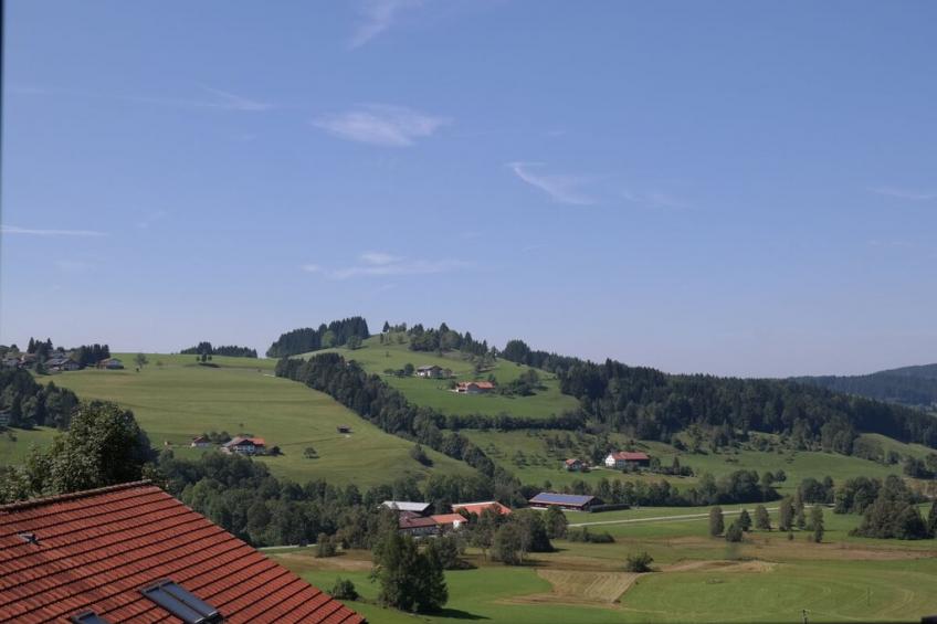 206347 - foto 5