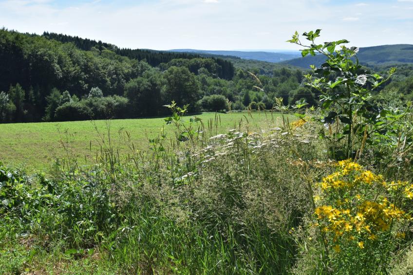 Maison de Vacances - Bouix - foto 40