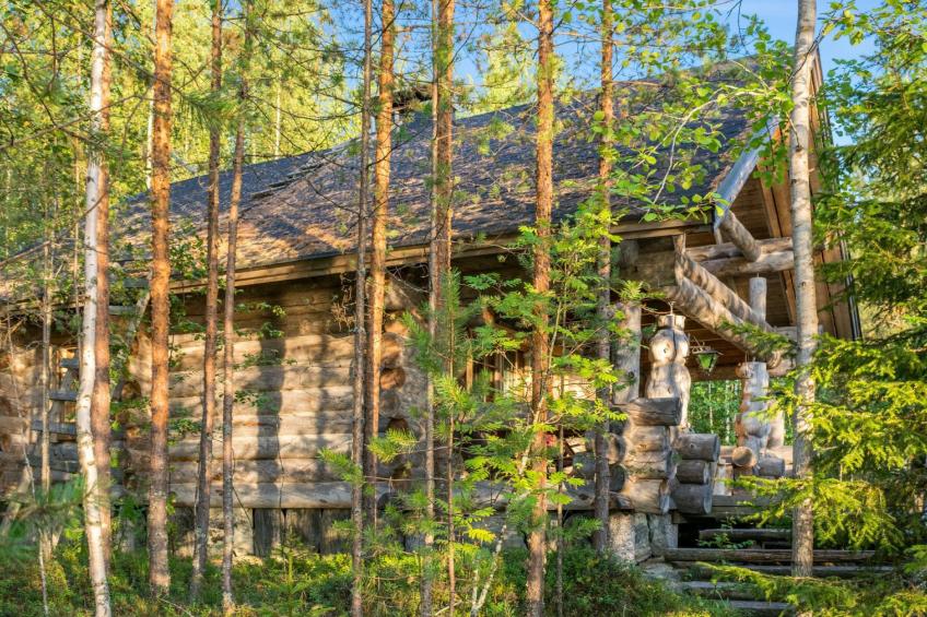 Koli, köllölä 1, cjoe59 - foto 3