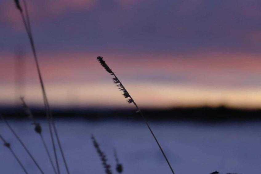 Holzhaus Andi - foto 31