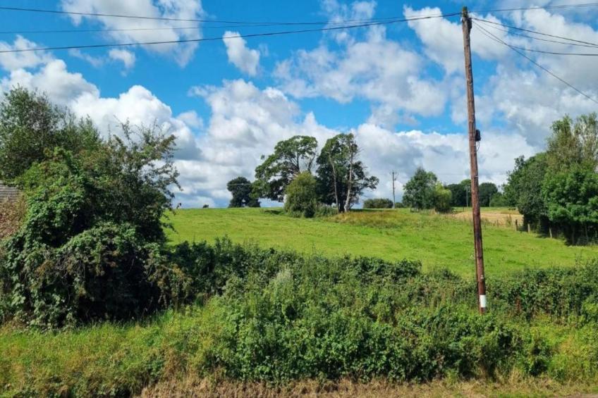 The Pig Barn - foto 23