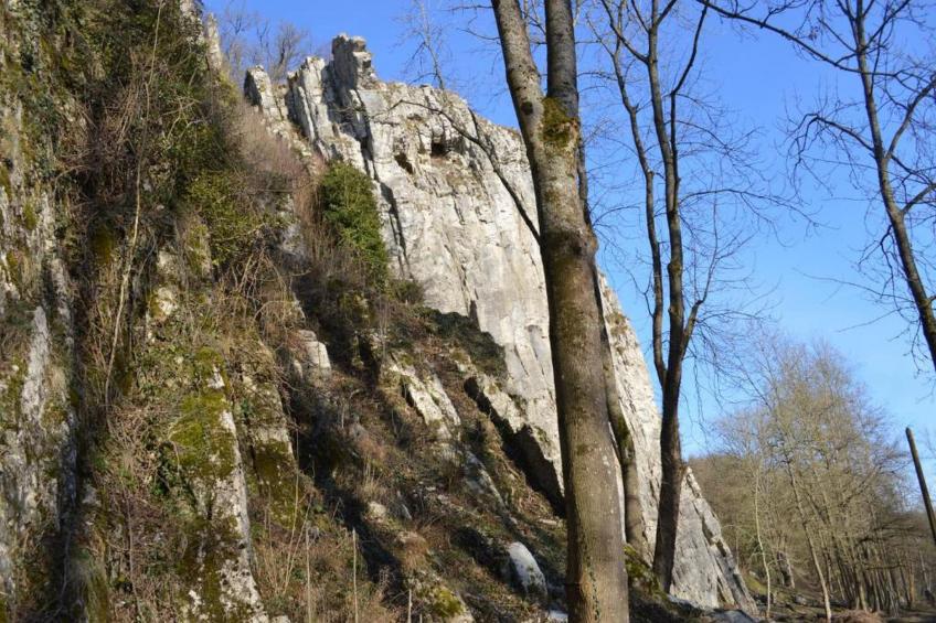 Vue d'en Haut - foto 34