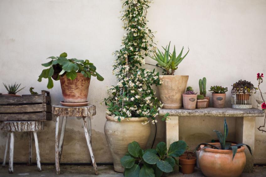 Wohnung 'Nuvole Barocche' mit Balkon - foto 5