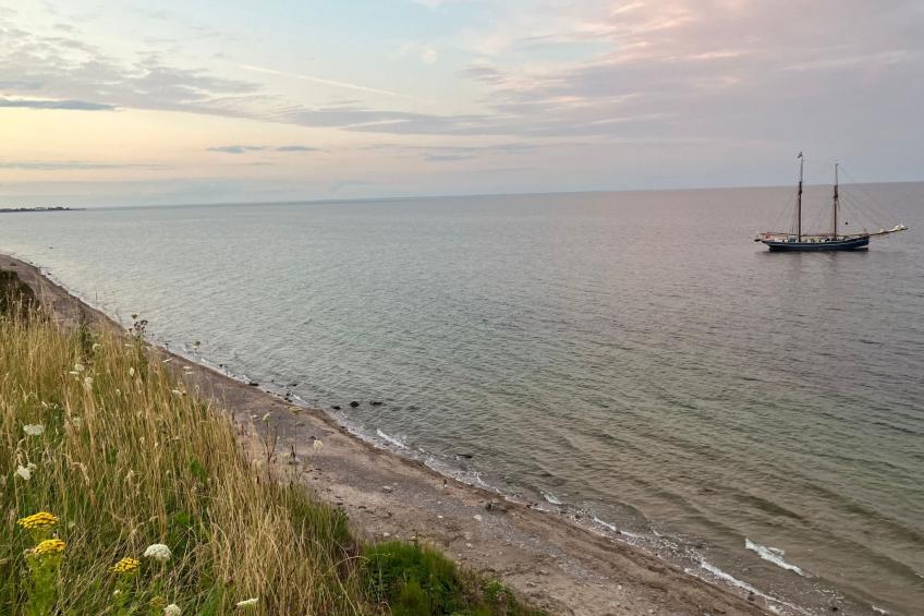 Gemütliche Ferienwohnung in Brodersby-Schönhagen - foto 30