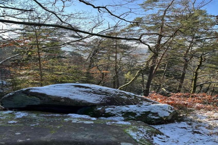 Chalet - LA HOUBE DABO - foto 31