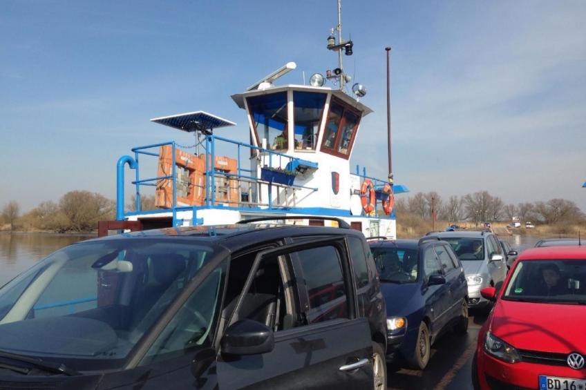 Elbe-Ilenpool -In Ruhe entspannen - foto 37