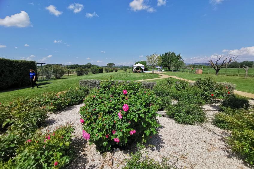 Mela' Wohnung mit Gemeinschaftspool - foto 63