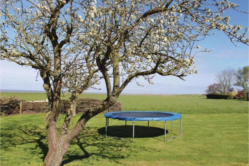 Recreatiepark Wiringherlant - foto 37