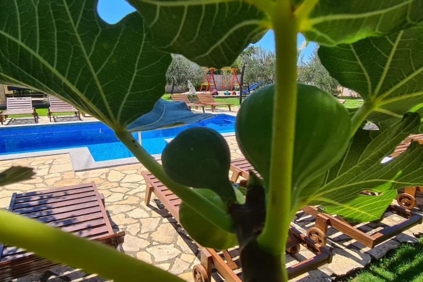 Villa Popovića Dvori -  Six Bedroom Villa with Pool - foto 146