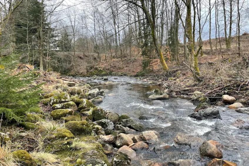 Holiday homes im Schierke Harzresort, Schierke - Type A - foto 30