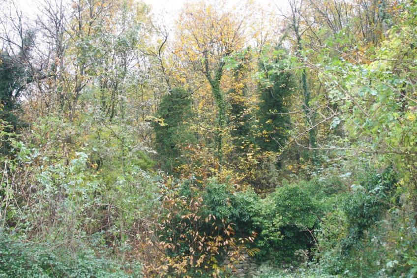 für 3 Personen ca. 37 m&sup2- in Lumarzo, Norditalien (Ligurien) - foto 2