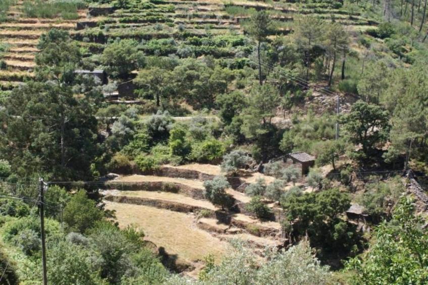 Casa Mimosa - foto 31