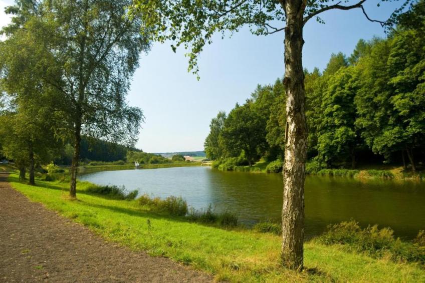 Ferienhaus Waldblick - foto 31