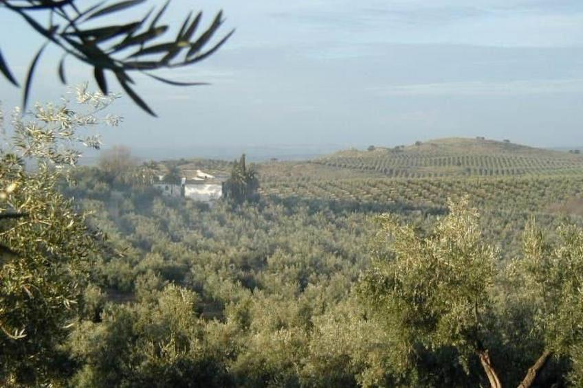 Haus La Cateta - foto 13