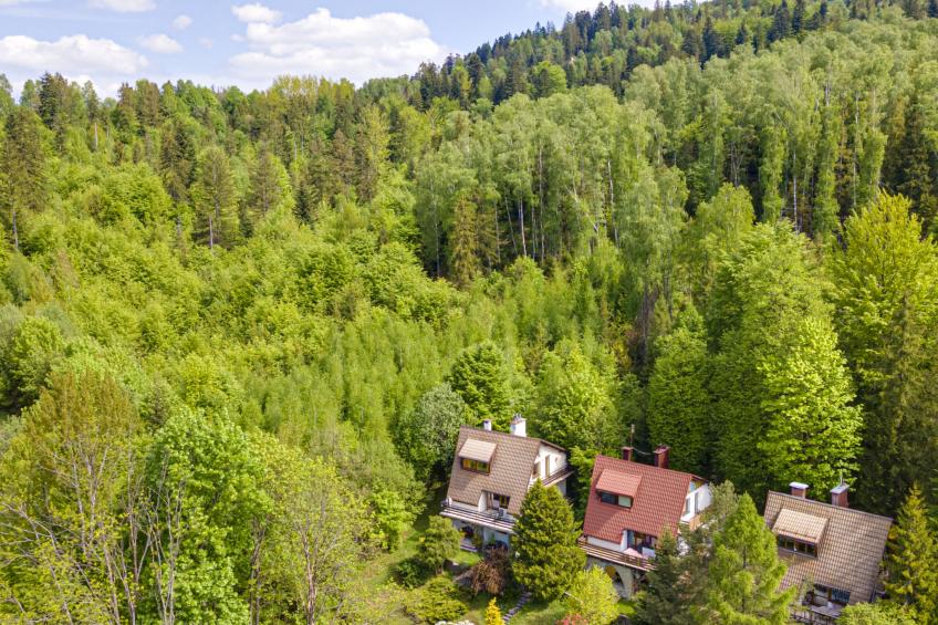 Partecznik - foto 47