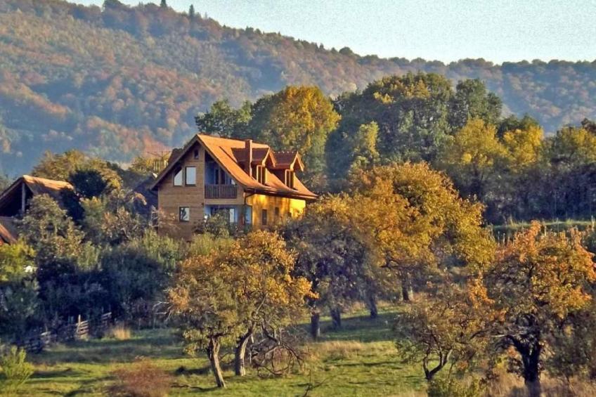 Casa Zollo 2 - kuschelige Fewo in den Hügeln - foto 2