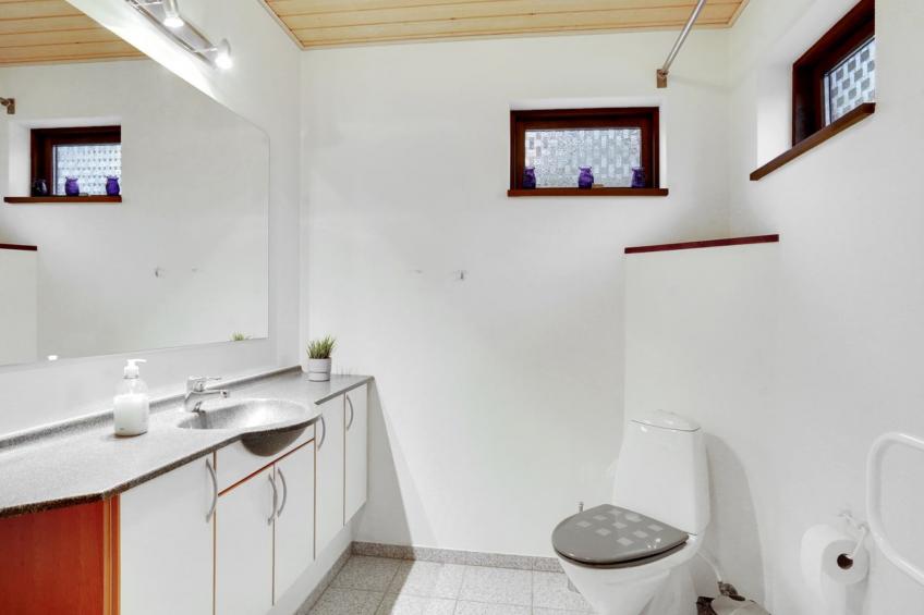 "Toska" in SE Jutland - foto 9