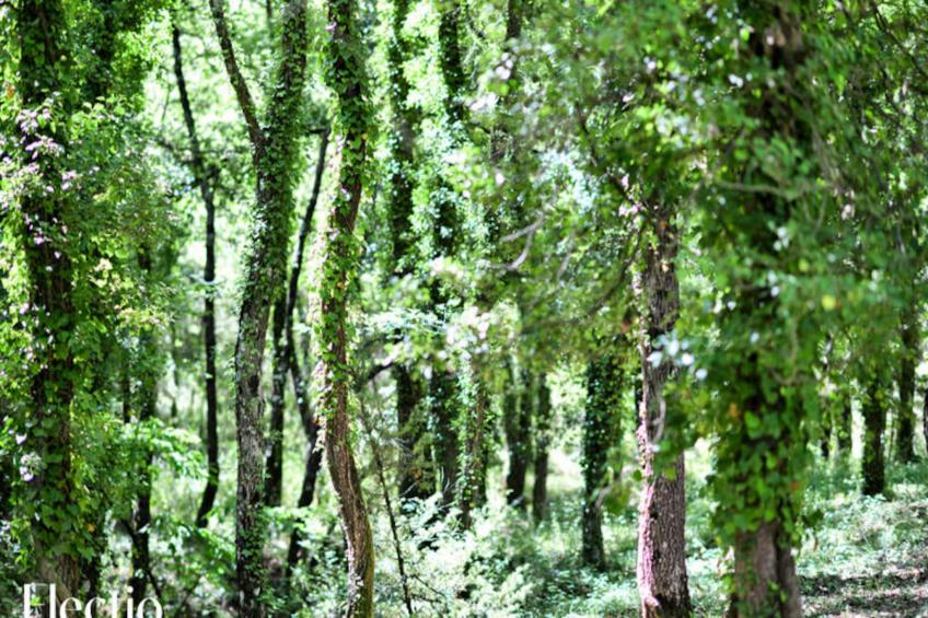 Grande Bastide | Domaine Tour Campanets - foto 76