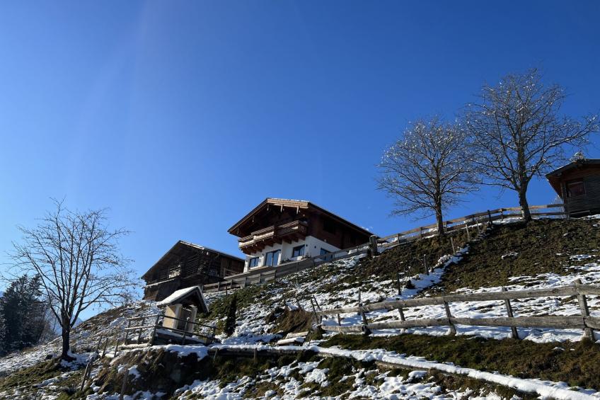 Exlerhof - foto 29