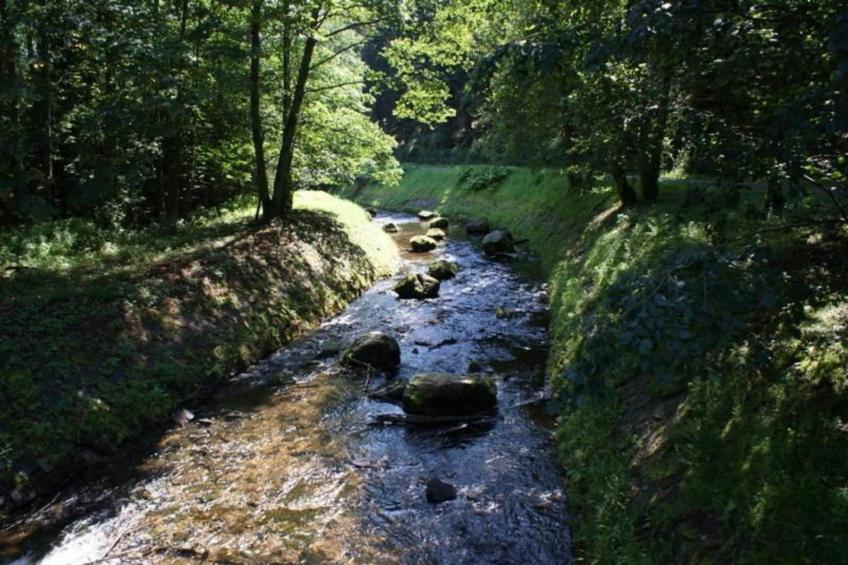 Appartement Eifelsteig - foto 16