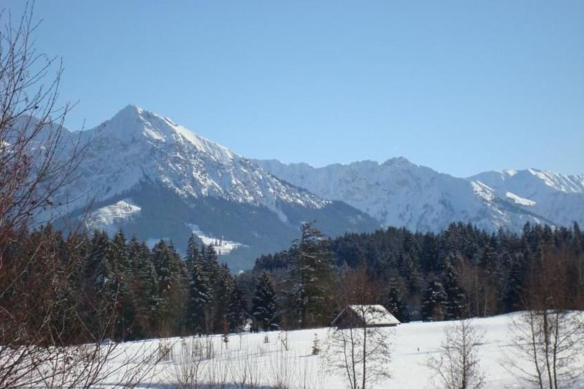 Panoramabergblickwohnung in ruhiger Einzellage - foto 16