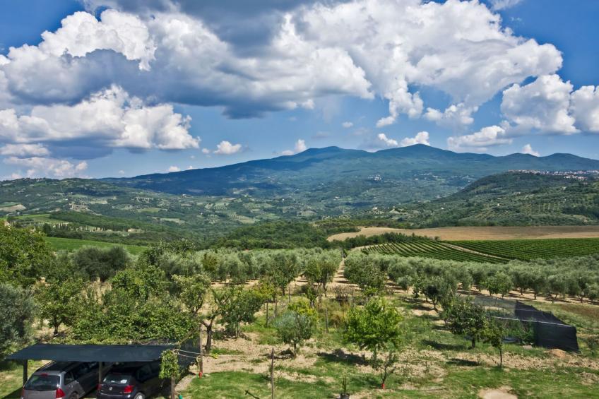 'Villa RosaSpina - foto 3