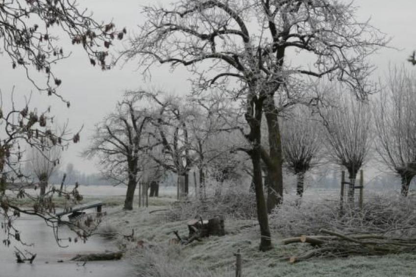 Wohnung auf dem Bauernhof - foto 45