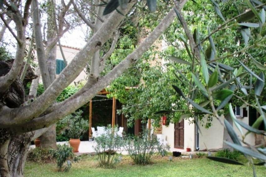 Garten Appartment - foto 5