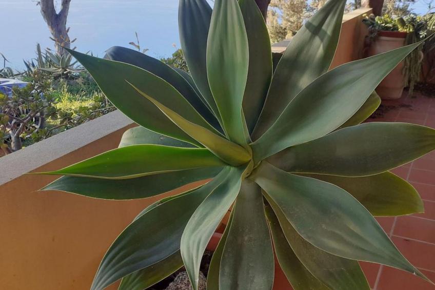 Villa Panorama Wohnung in privater Villa - foto 35