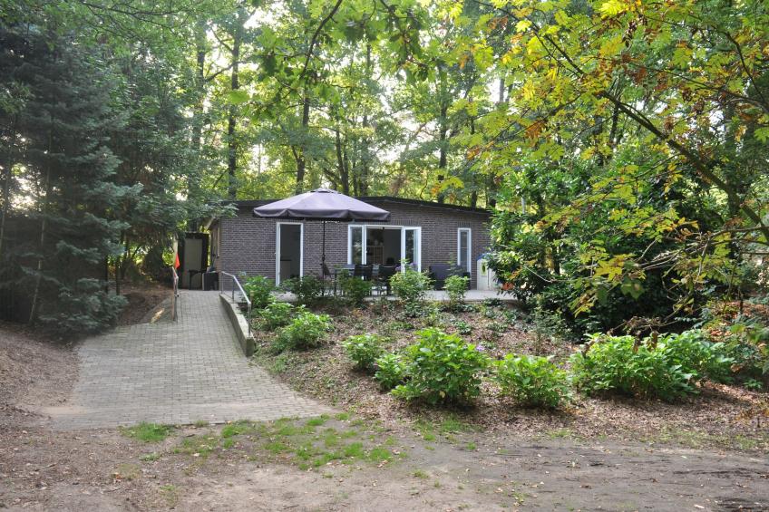In het Bos