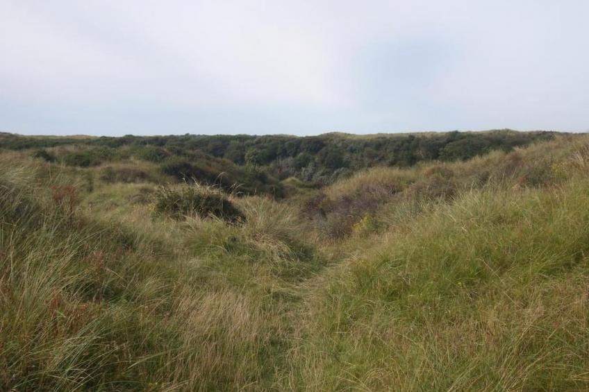 Strandhaus direkt am Meer - foto 21