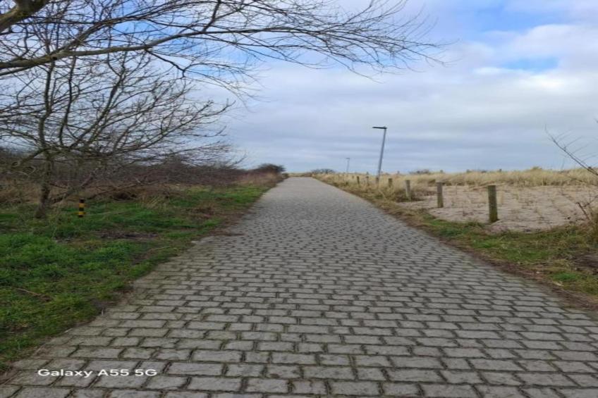 FLAMINGO 101 - foto 32