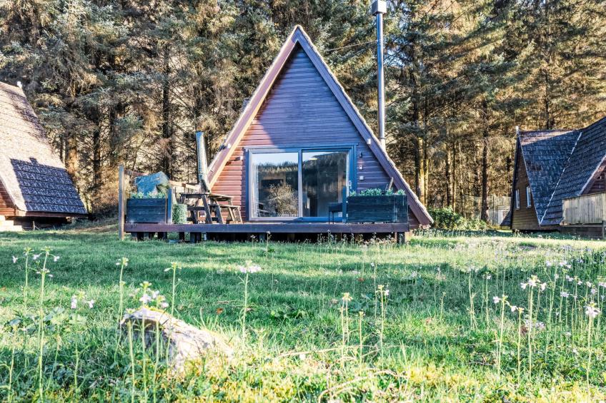 Pine Needle Lodge - foto 3